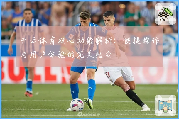 开云体育核心功能解析：便捷操作与用户体验的完美结合