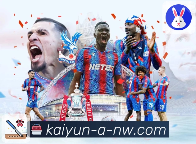 开云官网，观看体育比赛更便捷